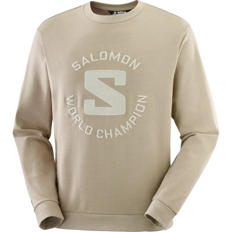 Beige Salomon Outlife Logo Summer Men's Sweatshirt | PH 02687P